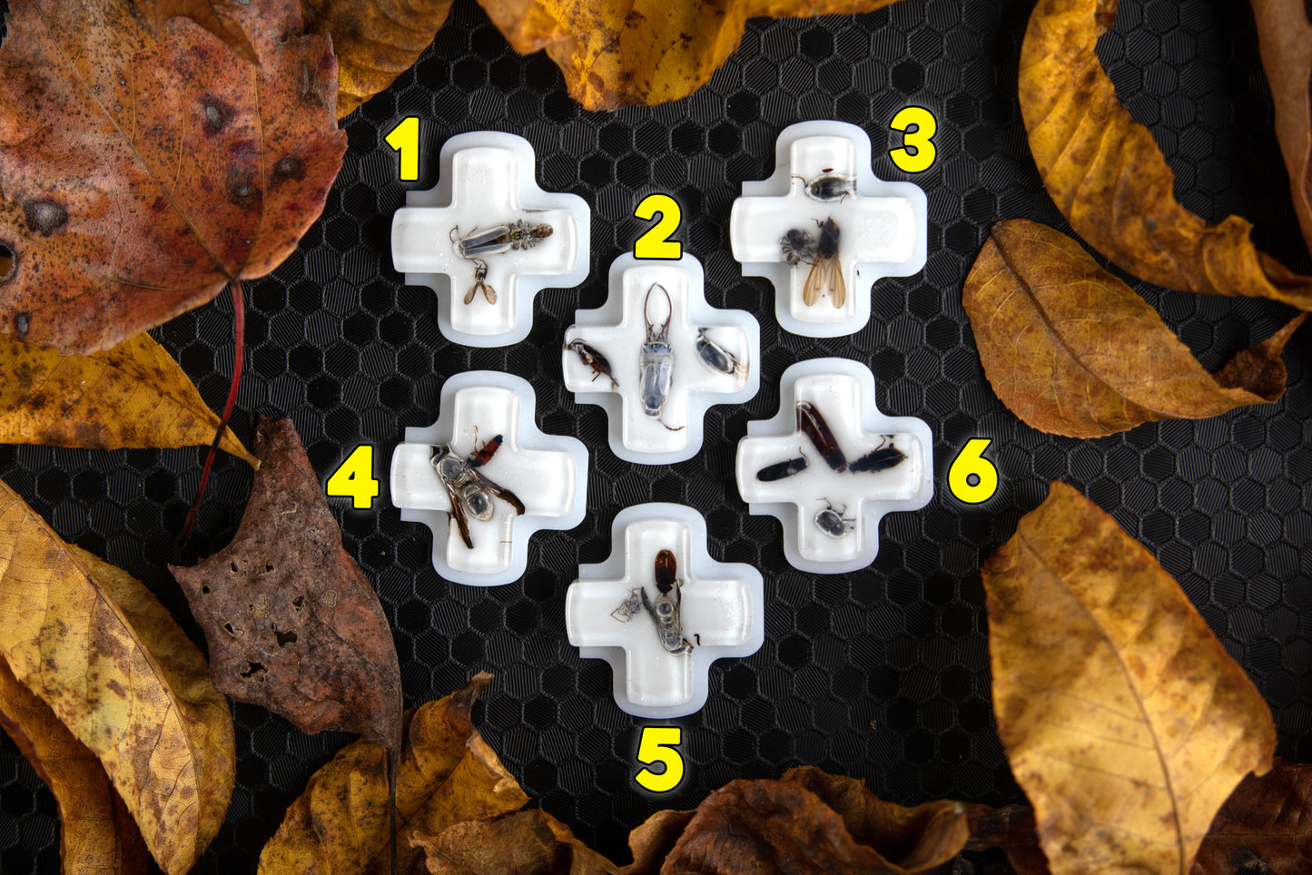 6 steam deck dpads with dead bugs inside