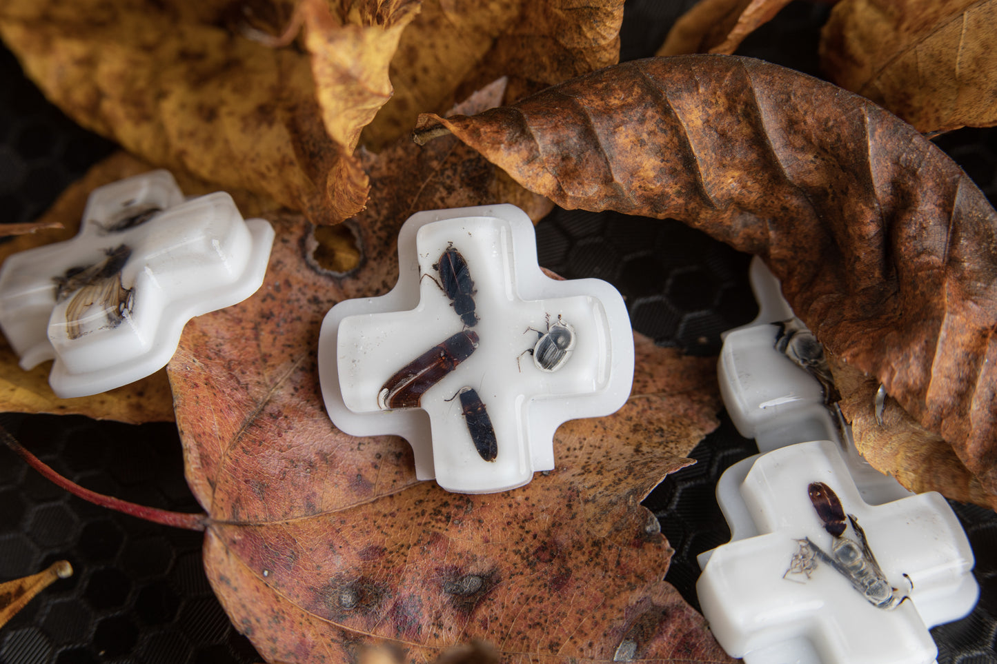 dead bug steam deck dpads with leaves