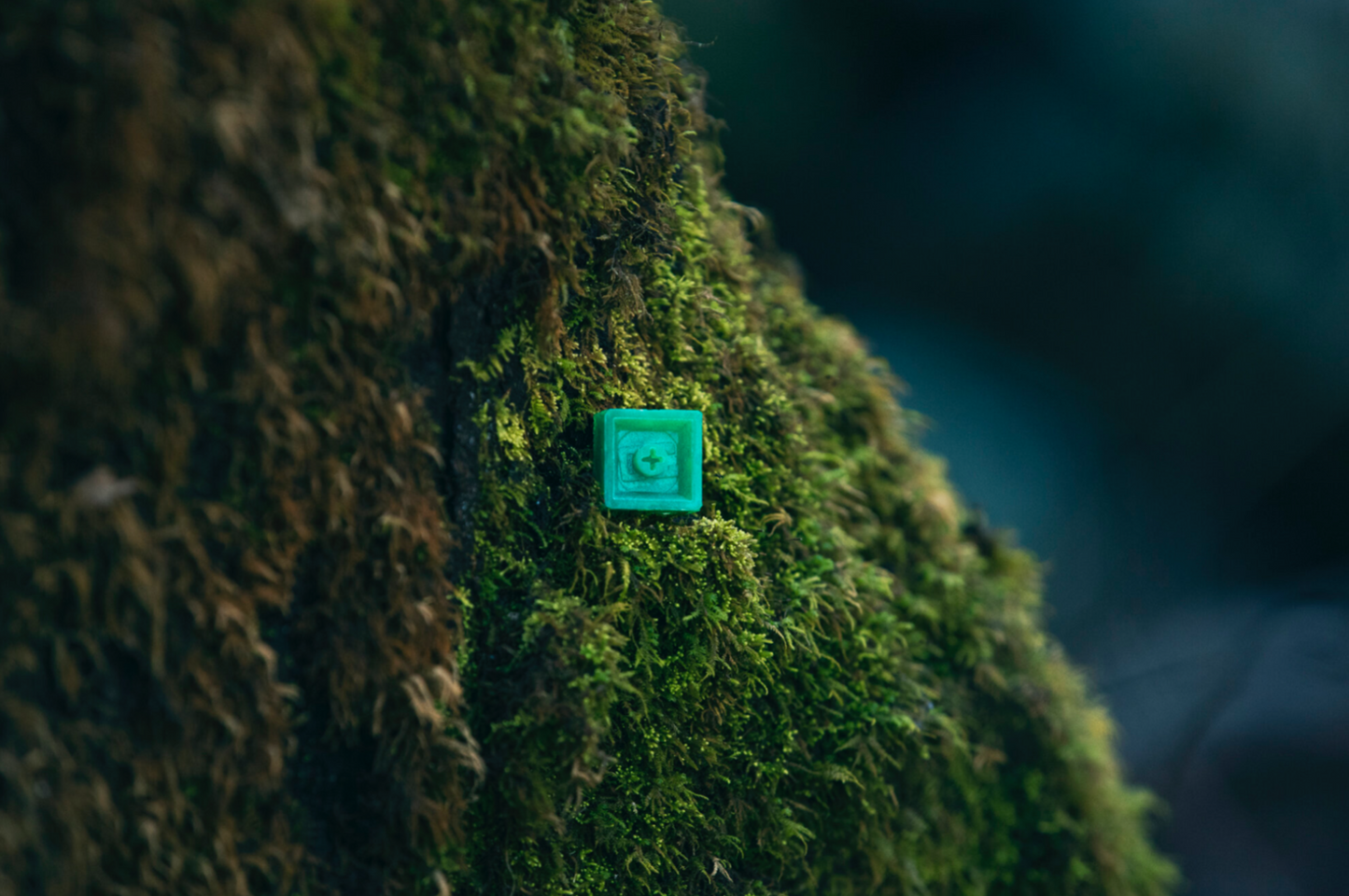 back of AC leaf cube keycap in nature